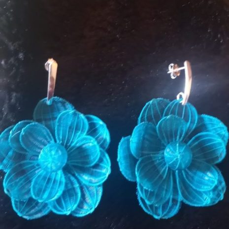 IMG_20201030_173757 camelias