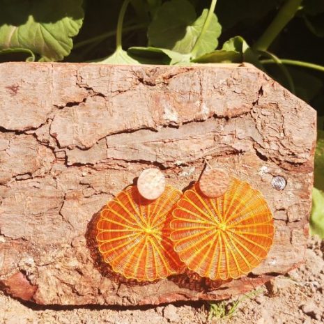 IMG_20201103_163139 aros naranjos